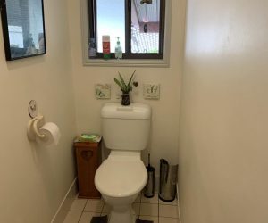 BTV071 Toilet (002)